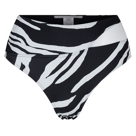 Zebra Print Bikini Bottom 